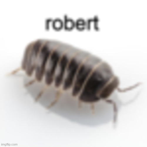 robert | image tagged in isopod | made w/ Imgflip meme maker