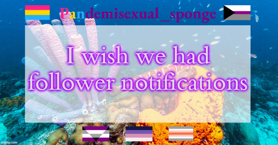 Insert meaningful title here | I wish we had follower notifications | image tagged in pandemisexual_sponge temp,demisexual_sponge | made w/ Imgflip meme maker