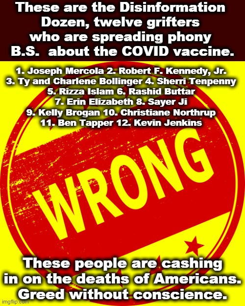 Getting rich off lies that kill Americans. | These are the Disinformation 
Dozen, twelve grifters 
who are spreading phony 
B.S.  about the COVID vaccine. 1. Joseph Mercola 2. Robert F. Kennedy, Jr. 
3. Ty and Charlene Bollinger 4. Sherri Tenpenny 
5. Rizza Islam 6. Rashid Buttar 
7. Erin Elizabeth 8. Sayer Ji 
9. Kelly Brogan 10. Christiane Northrup 
11. Ben Tapper 12. Kevin Jenkins; These people are cashing in on the deaths of Americans. Greed without conscience. | image tagged in covid-19,vaccine,anti vax,conspiracy | made w/ Imgflip meme maker