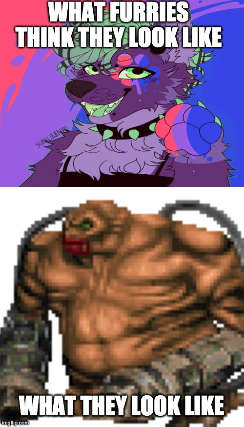 What furries look like vs what they actually look like | WHAT FURRIES THINK THEY LOOK LIKE; WHAT THEY LOOK LIKE | image tagged in doom 2 | made w/ Imgflip meme maker