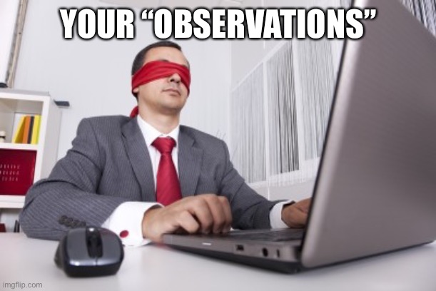 Blindfolded | YOUR “OBSERVATIONS” | image tagged in blindfolded | made w/ Imgflip meme maker