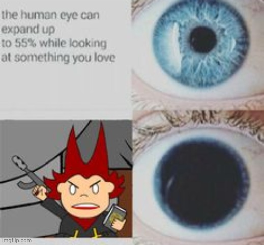 T h e B e s t G i r l o f P i c o ' s S c h o o l | made w/ Imgflip meme maker