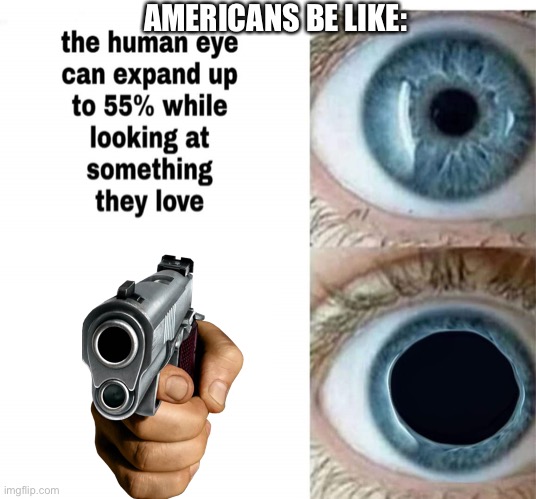 Human eye | AMERICANS BE LIKE: | image tagged in human eye | made w/ Imgflip meme maker