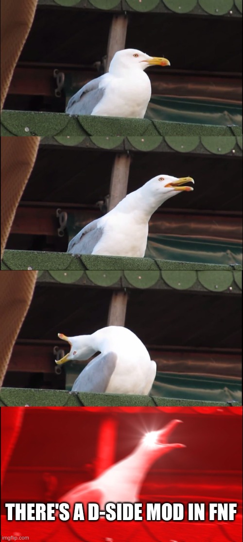 Inhaling Seagull Meme | THERE'S A D-SIDE MOD IN FNF | image tagged in memes,inhaling seagull | made w/ Imgflip meme maker