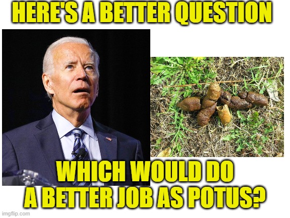 HERE'S A BETTER QUESTION WHICH WOULD DO A BETTER JOB AS POTUS? | made w/ Imgflip meme maker