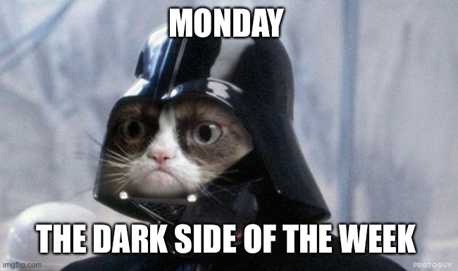 Monday’s, the dark side of the week |  MONDAY; THE DARK SIDE OF THE WEEK | image tagged in memes,grumpy cat star wars,grumpy cat | made w/ Imgflip meme maker