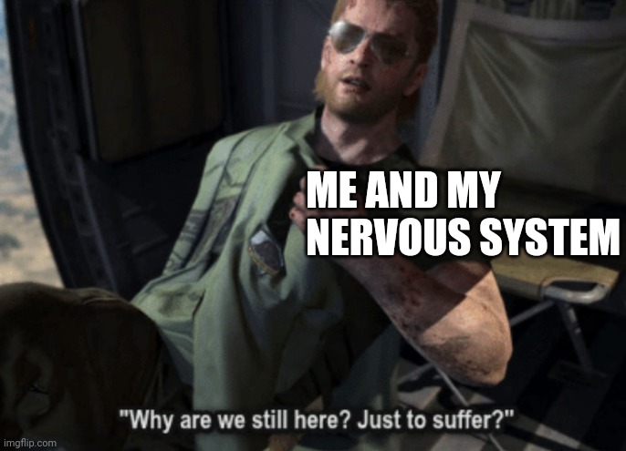 Why are we still here? Just to suffer? | ME AND MY NERVOUS SYSTEM | image tagged in why are we still here just to suffer | made w/ Imgflip meme maker