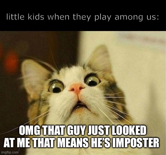 actually tho |  little kids when they play among us:; OMG THAT GUY JUST LOOKED AT ME THAT MEANS HE’S IMPOSTER | image tagged in memes,scared cat,among us | made w/ Imgflip meme maker