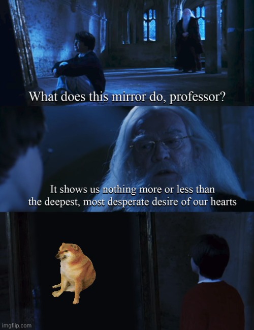 Why are dogs not allowed in Hogwarts?? | image tagged in harry potter mirror | made w/ Imgflip meme maker