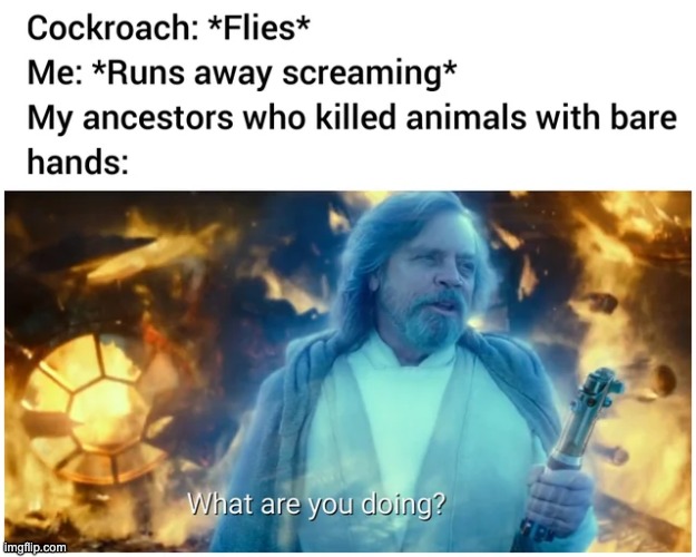 NO YOU'RE SUPPOSED TO KILL IT | image tagged in ancestors,animals | made w/ Imgflip meme maker