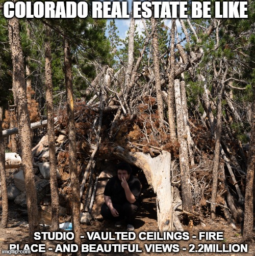 Housing in colorado | COLORADO REAL ESTATE BE LIKE; STUDIO  - VAULTED CEILINGS - FIRE PLACE - AND BEAUTIFUL VIEWS - 2.2MILLION | image tagged in jokes,real estate,over priced,apartment,colorado,expensive | made w/ Imgflip meme maker