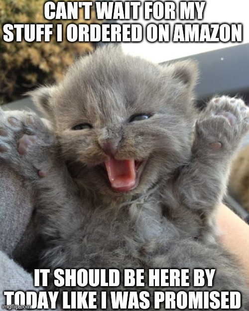 Yay Kitty | CAN'T WAIT FOR MY STUFF I ORDERED ON AMAZON; IT SHOULD BE HERE BY TODAY LIKE I WAS PROMISED | image tagged in yay kitty | made w/ Imgflip meme maker
