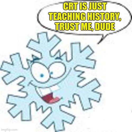 Ever notice those snowflake SJW's defending CRT never provide any evidence other than: Trust me dude | CRT IS JUST TEACHING HISTORY, TRUST ME, DUDE | image tagged in snowflake,crt | made w/ Imgflip meme maker