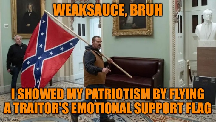 Jan. 6 2021 | WEAKSAUCE, BRUH I SHOWED MY PATRIOTISM BY FLYING A TRAITOR'S EMOTIONAL SUPPORT FLAG | image tagged in jan 6 2021 | made w/ Imgflip meme maker