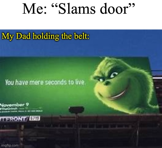 RUNNNNNN! | Me: “Slams door”; My Dad holding the belt: | image tagged in you have mere seconds to live | made w/ Imgflip meme maker