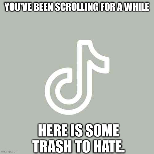 Tiktok pretty | YOU'VE BEEN SCROLLING FOR A WHILE; HERE IS SOME TRASH TO HATE. | image tagged in tiktok pretty | made w/ Imgflip meme maker