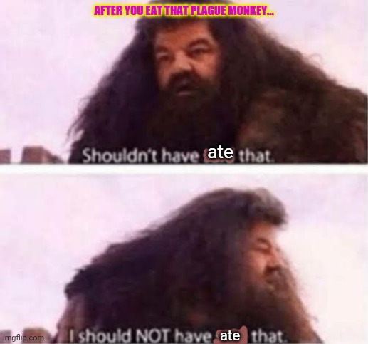 I should NOT have said that | AFTER YOU EAT THAT PLAGUE MONKEY... ate ate | image tagged in i should not have said that | made w/ Imgflip meme maker
