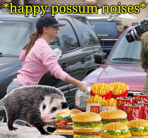 *Possum party intensifies* | *happy possum noises* | image tagged in possum,party,intensifies,mcdonalds | made w/ Imgflip meme maker