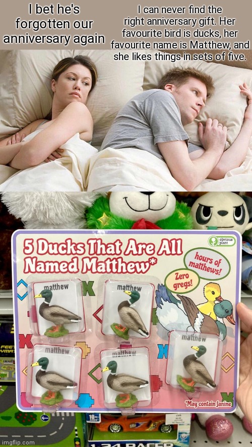 I know it's terrible, but I had an idea and made it reality | I can never find the right anniversary gift. Her favourite bird is ducks, her favourite name is Matthew, and she likes things in sets of five. I bet he's forgotten our anniversary again | image tagged in memes,i bet he's thinking about other women,obvious plant,ducks,stupid memes | made w/ Imgflip meme maker