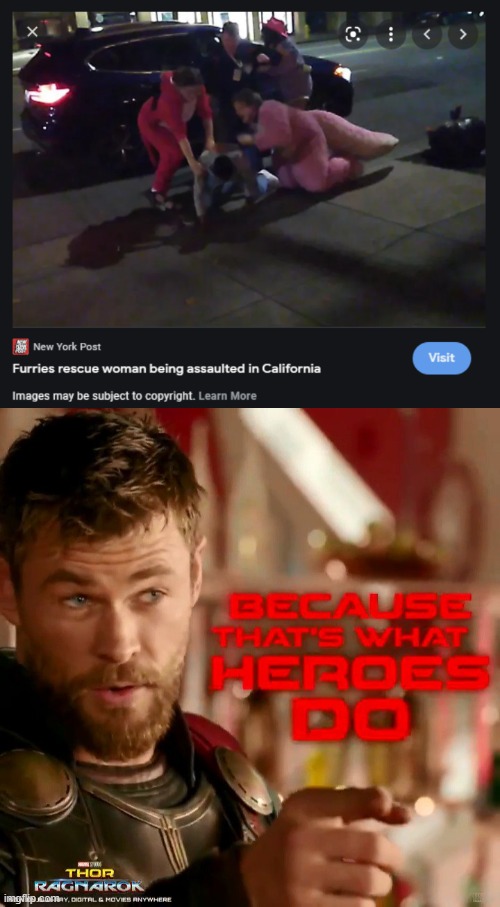 Because that's what heroes do. | image tagged in because that's what heroes do,furry,superheroes,hero,furries | made w/ Imgflip meme maker