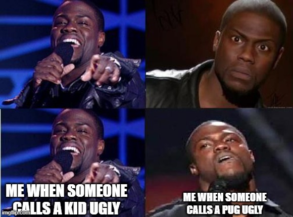 Yes, I'm terrible.... | ME WHEN SOMEONE CALLS A KID UGLY; ME WHEN SOMEONE CALLS A PUG UGLY | image tagged in kevin hart come back | made w/ Imgflip meme maker