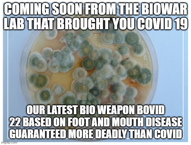 petri dish full | COMING SOON FROM THE BIOWAR LAB THAT BROUGHT YOU COVID 19; OUR LATEST BIO WEAPON BOVID 22 BASED ON FOOT AND MOUTH DISEASE GUARANTEED MORE DEADLY THAN COVID | image tagged in petri dish full | made w/ Imgflip meme maker