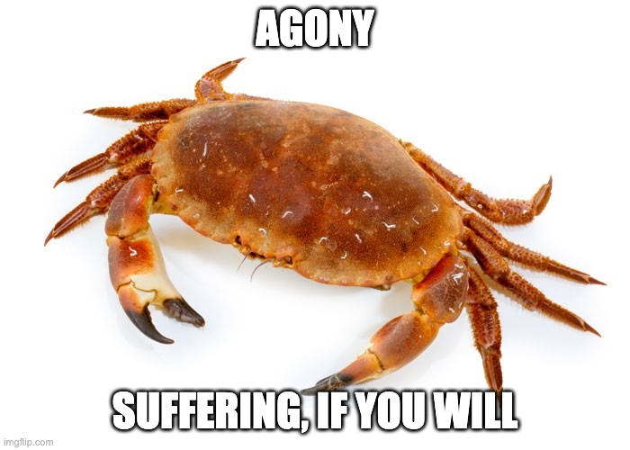 crab | AGONY; SUFFERING, IF YOU WILL | image tagged in crab | made w/ Imgflip meme maker