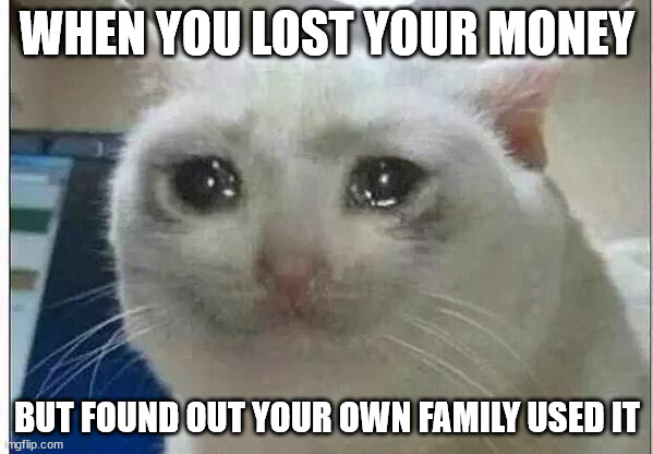 crying cat | WHEN YOU LOST YOUR MONEY; BUT FOUND OUT YOUR OWN FAMILY USED IT | image tagged in crying cat | made w/ Imgflip meme maker