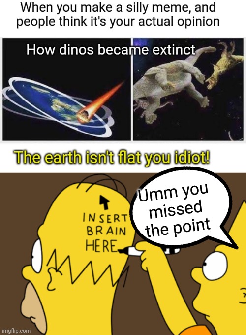 Misunderstood Memes | Umm you missed the point | image tagged in misunderstood,flat earth,dinosaurs,do you are have stupid,funny memes,bart simpson | made w/ Imgflip meme maker