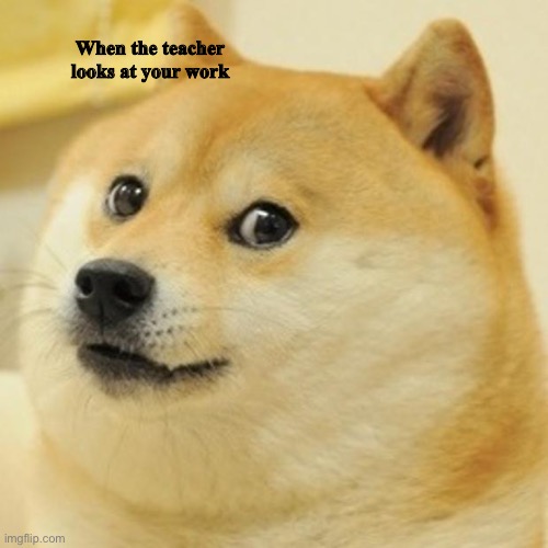 Doge Meme | When the teacher looks at your work | image tagged in memes,doge | made w/ Imgflip meme maker