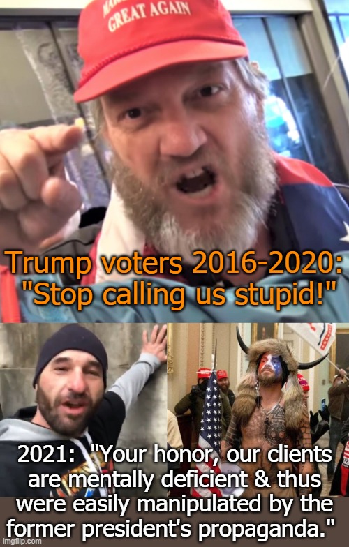 You can't make this stuff up. | Trump voters 2016-2020:  "Stop calling us stupid!"; 2021:  "Your honor, our clients
are mentally deficient & thus
were easily manipulated by the
former president's propaganda." | image tagged in angry trump supporter,angeli,doug jensen,contradiction | made w/ Imgflip meme maker