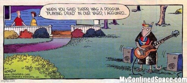That's The Way It Goes | image tagged in memes,comics,possum,playing,dead,grateful dead | made w/ Imgflip meme maker