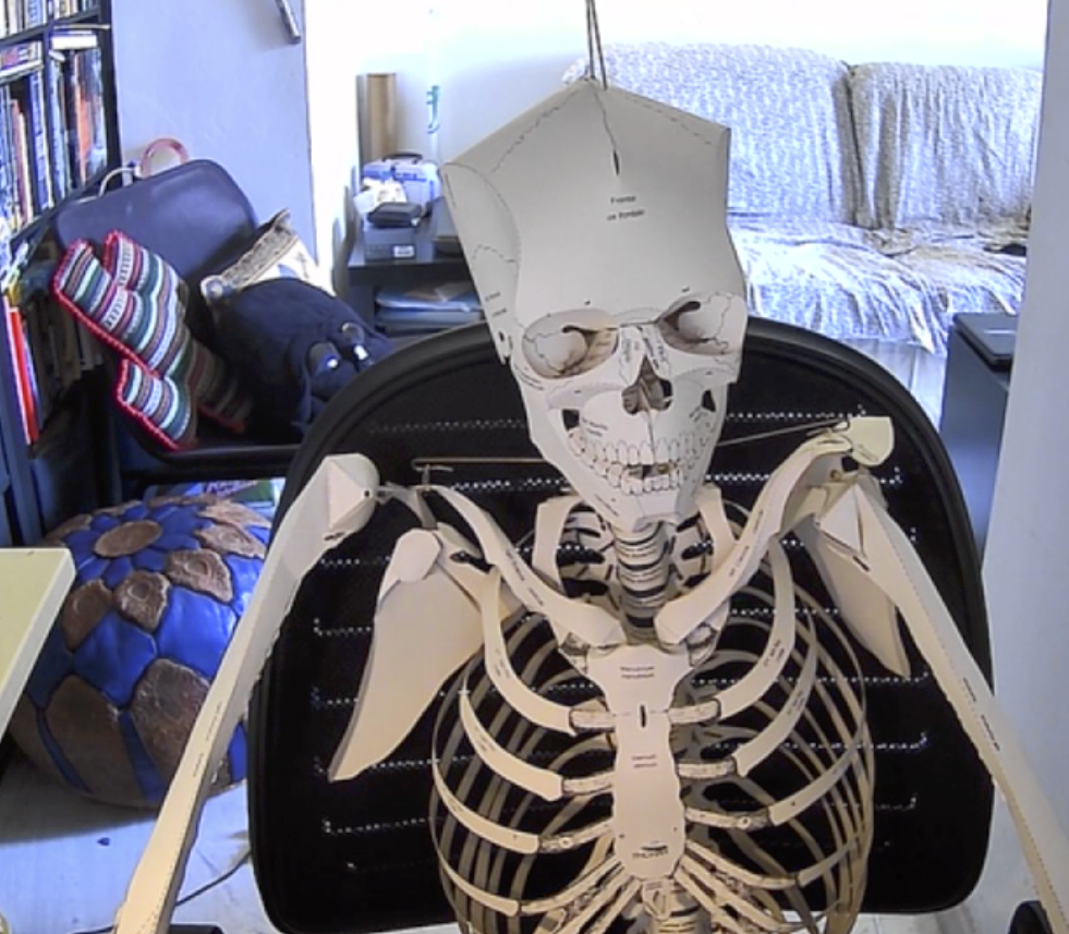 High Quality skeleton work from home Blank Meme Template