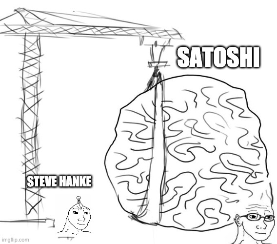 Satoshi's Brain vs Steve Hanke's Brain | SATOSHI; STEVE HANKE | image tagged in bitcoin,hanke,satoshi,nakamoto | made w/ Imgflip meme maker