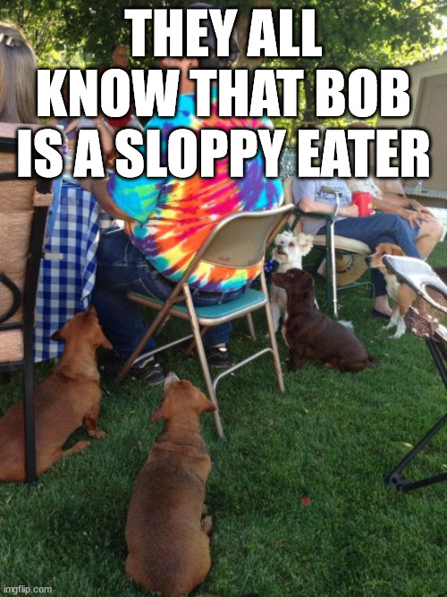 THEY ALL KNOW THAT BOB IS A SLOPPY EATER | image tagged in dogs | made w/ Imgflip meme maker