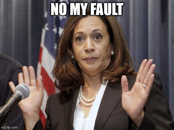 Kamila harris | NO MY FAULT | image tagged in kamila harris | made w/ Imgflip meme maker