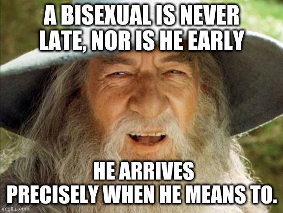 A Wizard Is Never Late | A BISEXUAL IS NEVER LATE, NOR IS HE EARLY; HE ARRIVES PRECISELY WHEN HE MEANS TO. | image tagged in a wizard is never late | made w/ Imgflip meme maker