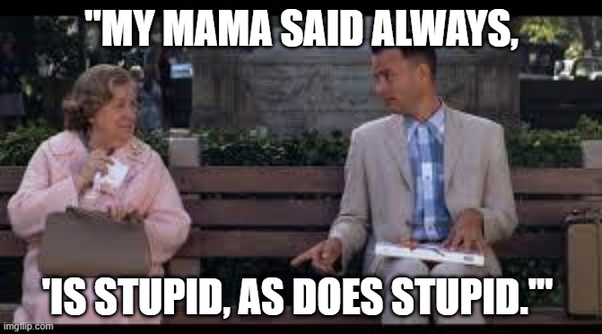 My Mama Said | "MY MAMA SAID ALWAYS, 'IS STUPID, AS DOES STUPID.'" | image tagged in forrest gump box of chocolates,forrest gump,stupid is,tom hanks,funny memes,memes | made w/ Imgflip meme maker