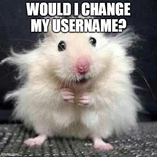 I don't know. i like my old one... | WOULD I CHANGE MY USERNAME? | image tagged in stressed mouse | made w/ Imgflip meme maker