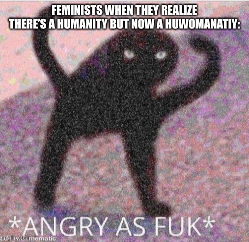 ANGRY | FEMINISTS WHEN THEY REALIZE THERE’S A HUMANITY BUT NOW A HUWOMANATIY: | image tagged in angry as fuk,feminist,memes,angry,fffffffuuuuuuuuuuuu,noooooooooooooooooooooooo | made w/ Imgflip meme maker