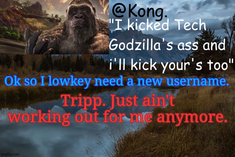 Any ideas, please? | Ok so I lowkey need a new username. Tripp. Just ain't working out for me anymore. | image tagged in kong 's new temp | made w/ Imgflip meme maker