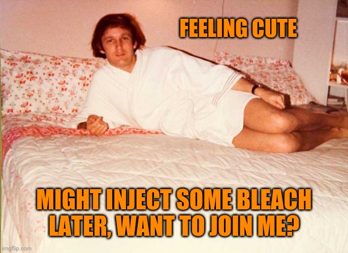 Trump Bed | FEELING CUTE; MIGHT INJECT SOME BLEACH LATER, WANT TO JOIN ME? | image tagged in trump bed | made w/ Imgflip meme maker