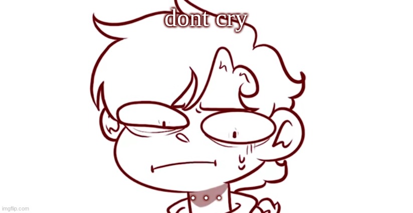 dont cry; . . . | made w/ Imgflip meme maker