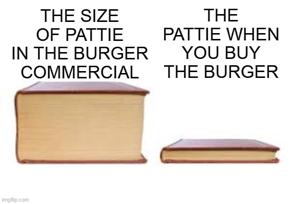 Big book small book | THE PATTIE WHEN YOU BUY THE BURGER; THE SIZE OF PATTIE IN THE BURGER COMMERCIAL | image tagged in big book small book,commercials,burger,pattie,commercial | made w/ Imgflip meme maker