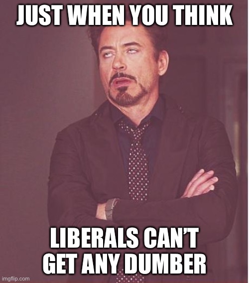 Face You Make Robert Downey Jr Meme | JUST WHEN YOU THINK LIBERALS CAN’T GET ANY DUMBER | image tagged in memes,face you make robert downey jr | made w/ Imgflip meme maker