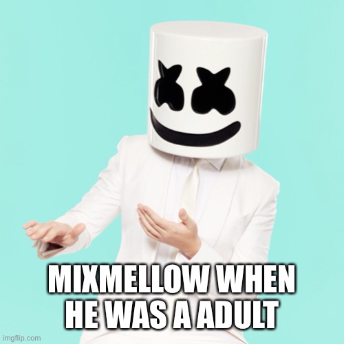 MIXMELLOW WHEN HE WAS A ADULT | made w/ Imgflip meme maker