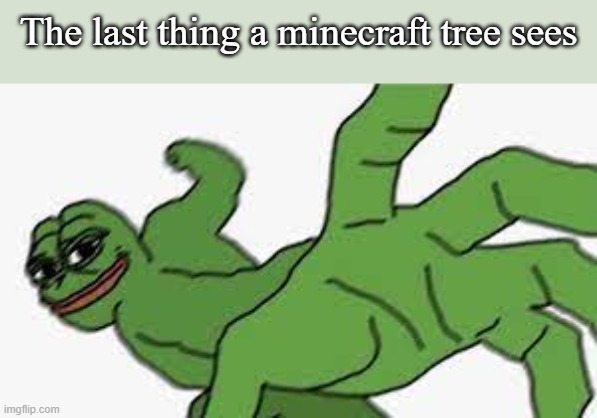 The last thing a minecraft tree sees | image tagged in pepe the frog | made w/ Imgflip meme maker
