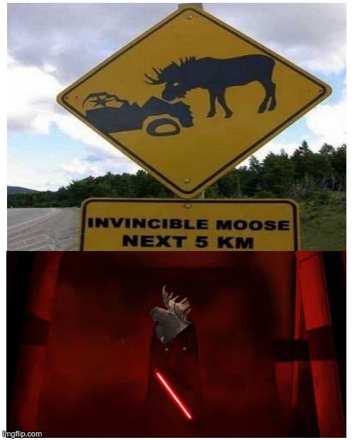 THE MOOSE | image tagged in moose,invincible moose,darth vader,star wars | made w/ Imgflip meme maker