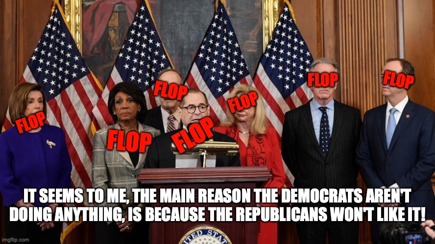 House Democrats | FLOP; FLOP; FLOP; FLOP; FLOP; FLOP; FLOP; IT SEEMS TO ME, THE MAIN REASON THE DEMOCRATS AREN'T DOING ANYTHING, IS BECAUSE THE REPUBLICANS WON'T LIKE IT! | image tagged in house democrats | made w/ Imgflip meme maker