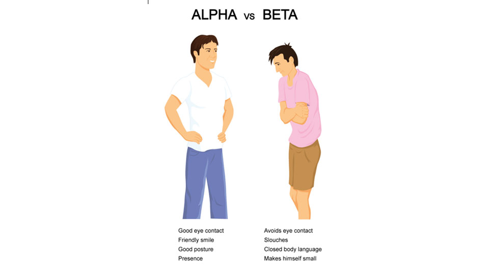 Alpha vs beta Blank Meme Template